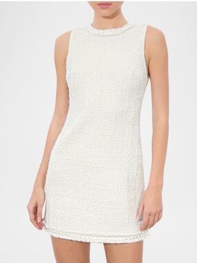 Alice and Olivia Coley Mini Dress